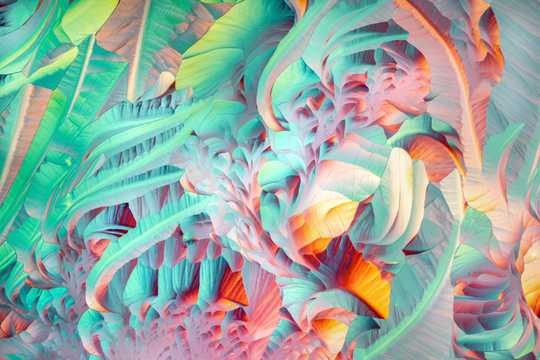 顕微鏡写真コンテスト入賞作20点...驚くべきミクロの世界を覗いてみよう