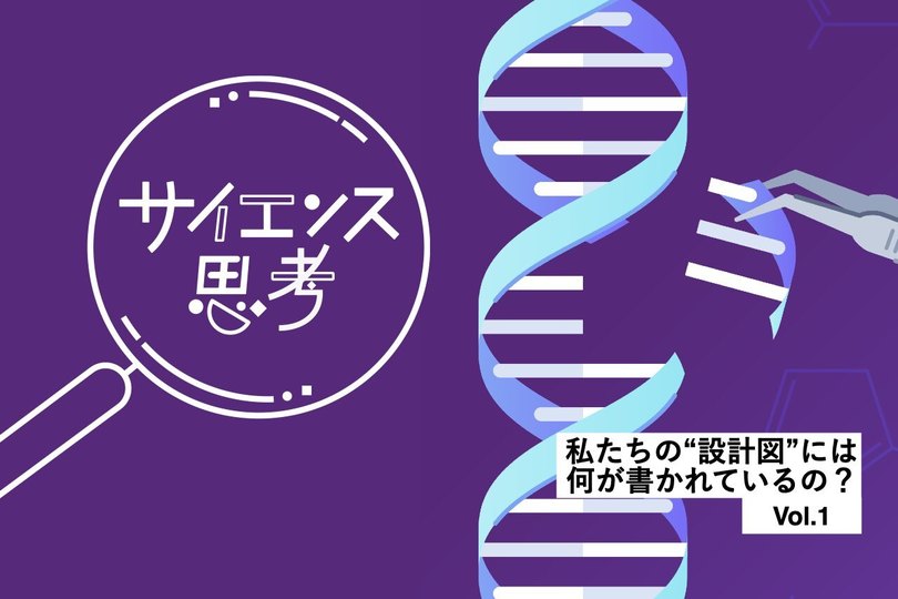 大学生、キャリア