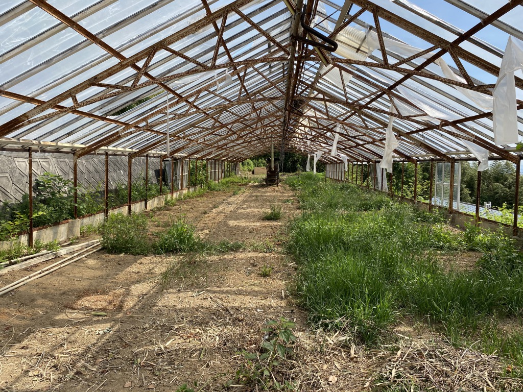 耕作放棄地は1985年の13.5ヘクタールから、2015年には42.3ヘクタールまで拡大している。