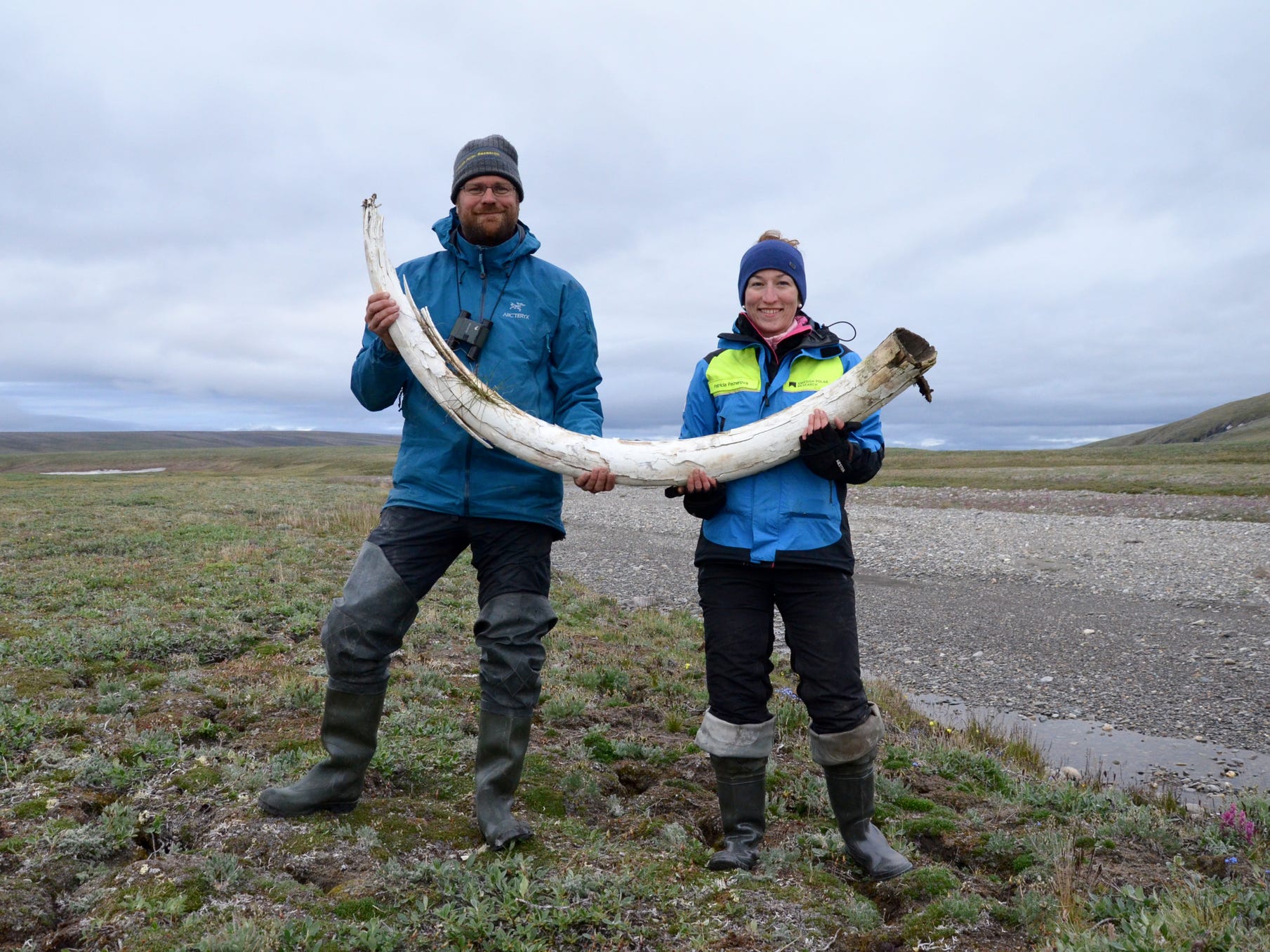 ☆【実物】 マンモスの牙 シベリア産 01-