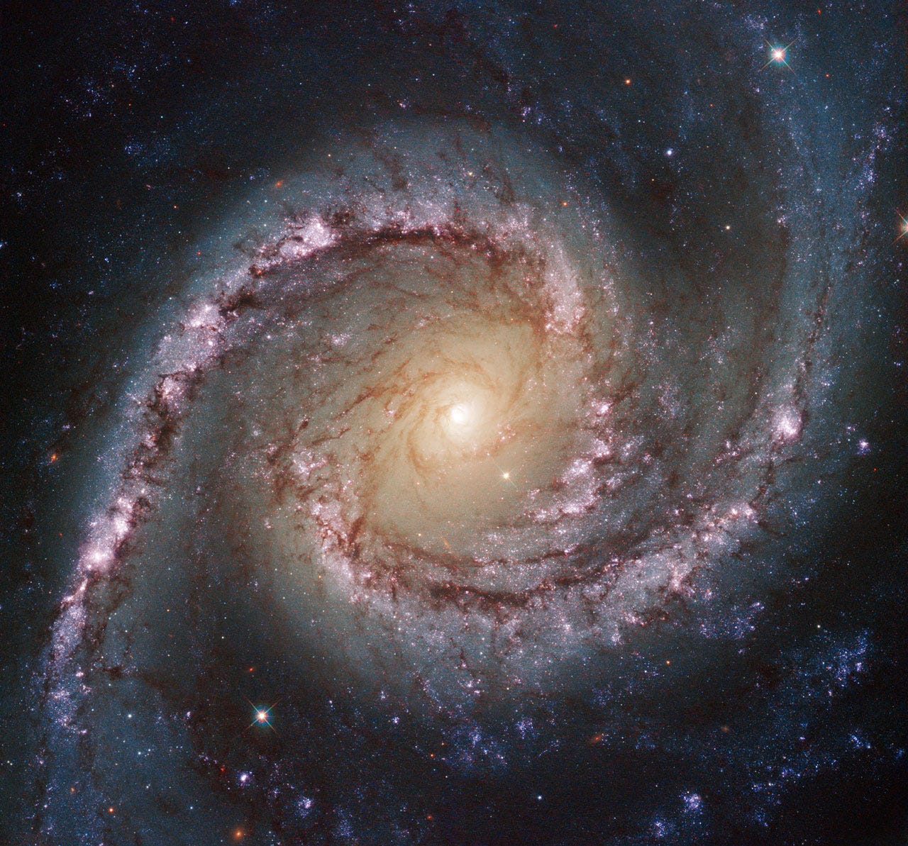 北磁極の上空で「宇宙ハリケーン」が起きていた…人工衛星の観測データ
