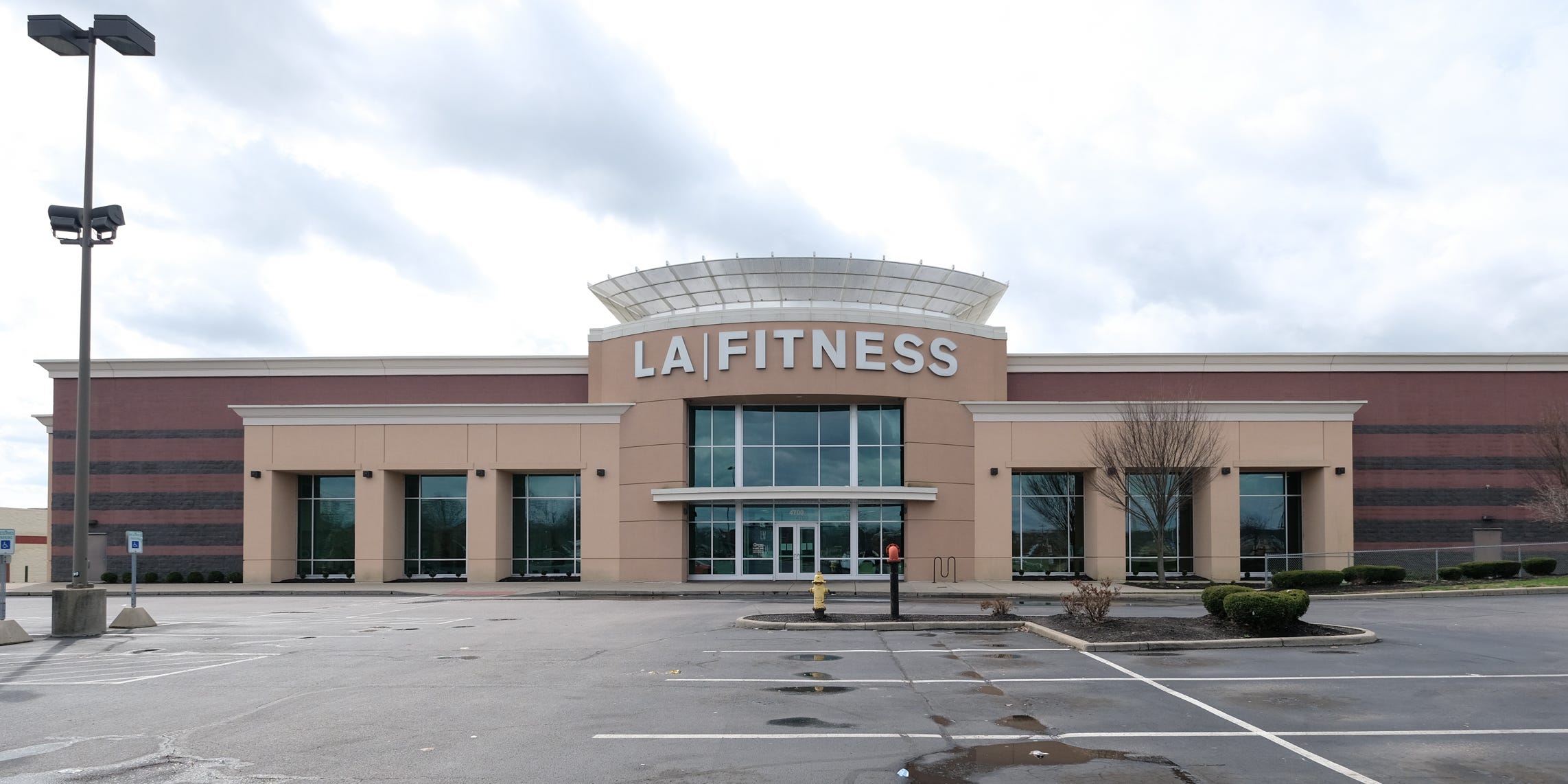 ロックダウン中 アメリカ人の体重は10日ごとに平均0 27キロ増えていた 最新研究 Business Insider Japan