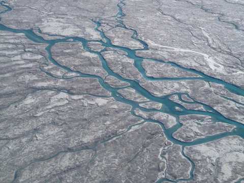 気候変動でグリーンランドの氷が黒くなっている 藻類によって氷床の融解が加速する可能性 Business Insider Japan