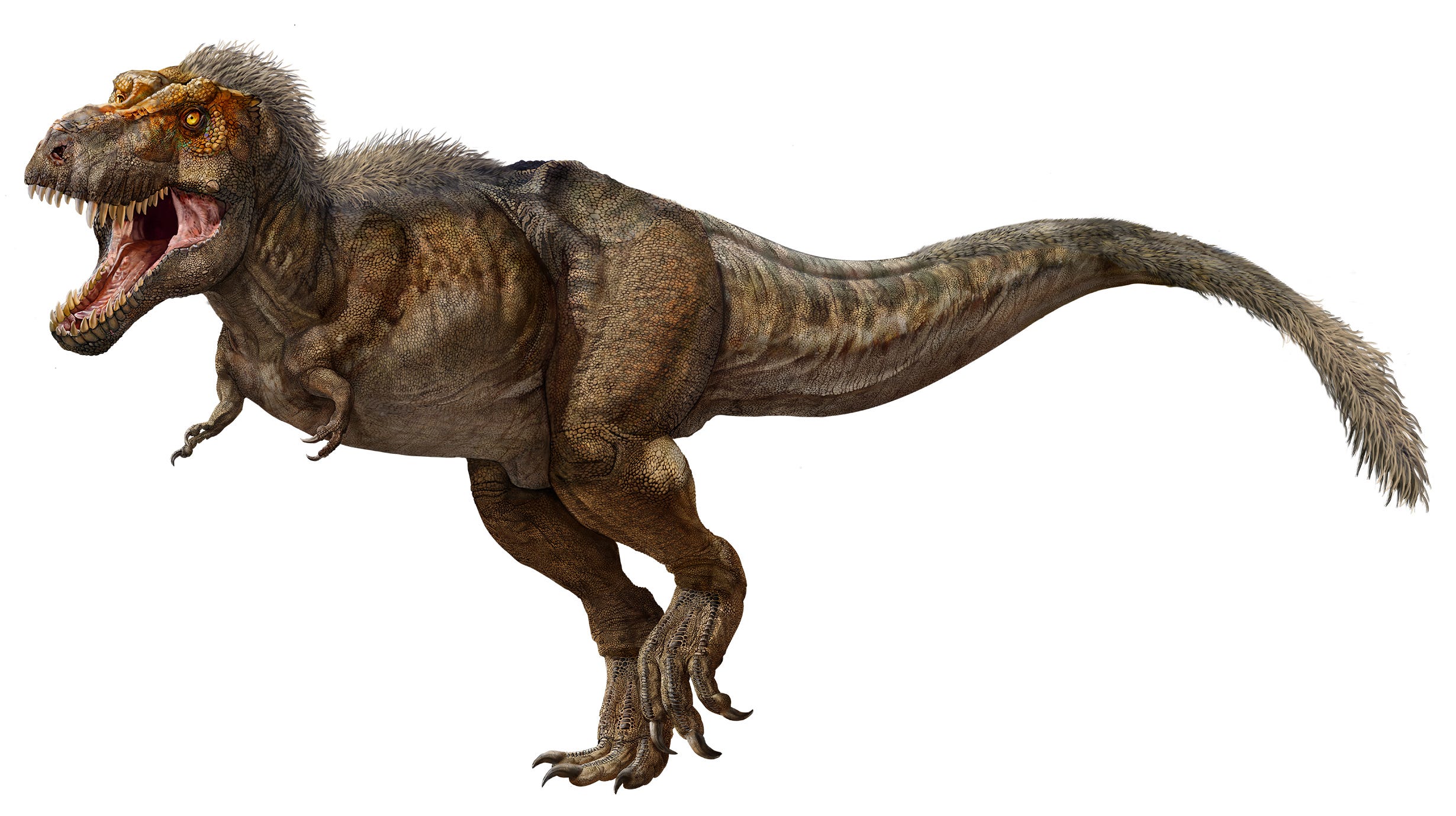 ティラノサウルスは250万年の間に25億頭が存在した…必要な