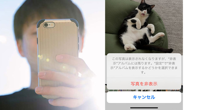 iPhoneを見る男性と猫