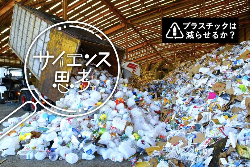 エディター、sdgs