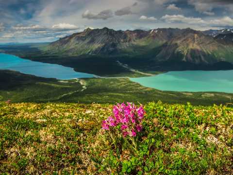 いつかは訪れてみたい アメリカのあまり有名ではない国立公園15選 Business Insider Japan