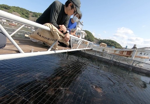 私が養殖ベンチャーに転職した理由 持続可能な漁業を目指して Business Insider Japan