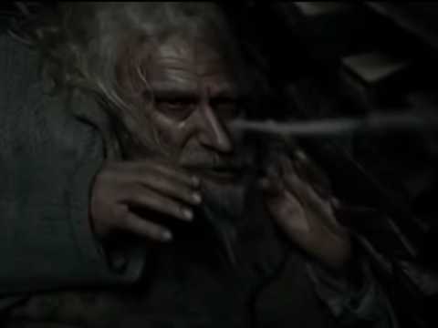 胸が張り裂けそう 映画 ハリー ポッター シリーズの悲しすぎる28の死 Business Insider Japan