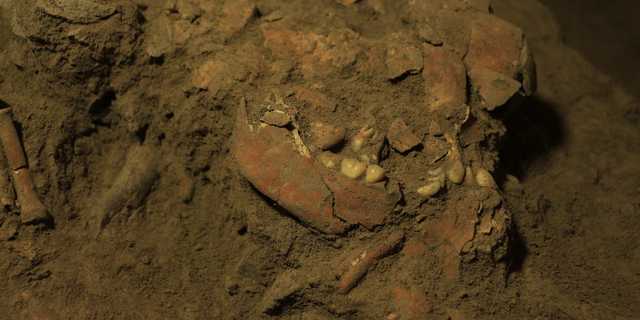 東南アジアの7200年前の遺骨から 既知の人類とは一致しないdnaを検出 Business Insider Japan