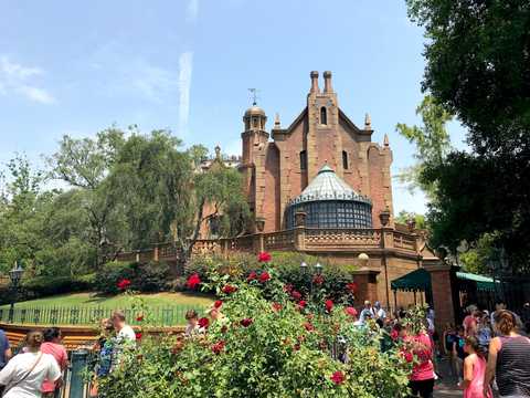 冷凍保存されている ウォルト ディズニーに関する9つの伝説を検証してみた Business Insider Japan