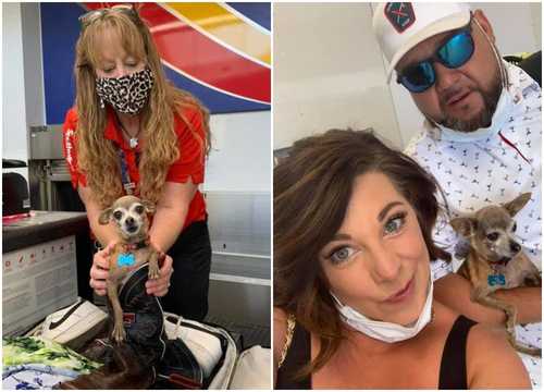 荷物が重過ぎる? ラスベガス旅行へ向かう夫婦のスーツケースに隠れていたのは飼い犬のチワワ