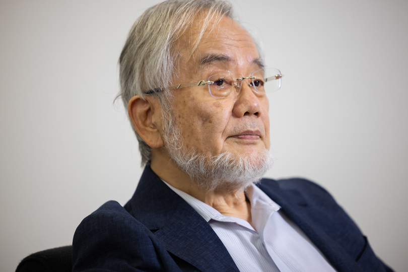 Business Insider Japanのニュース記事「｢大隅先生、日本の科学は死んでしまったんですか？｣ノーベル賞学者に聞く、日本の科学の行方」の画像