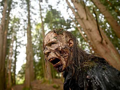映画やtvで描かれるゾンビの変遷 アンデッド から 殺人マシン へ Business Insider Japan