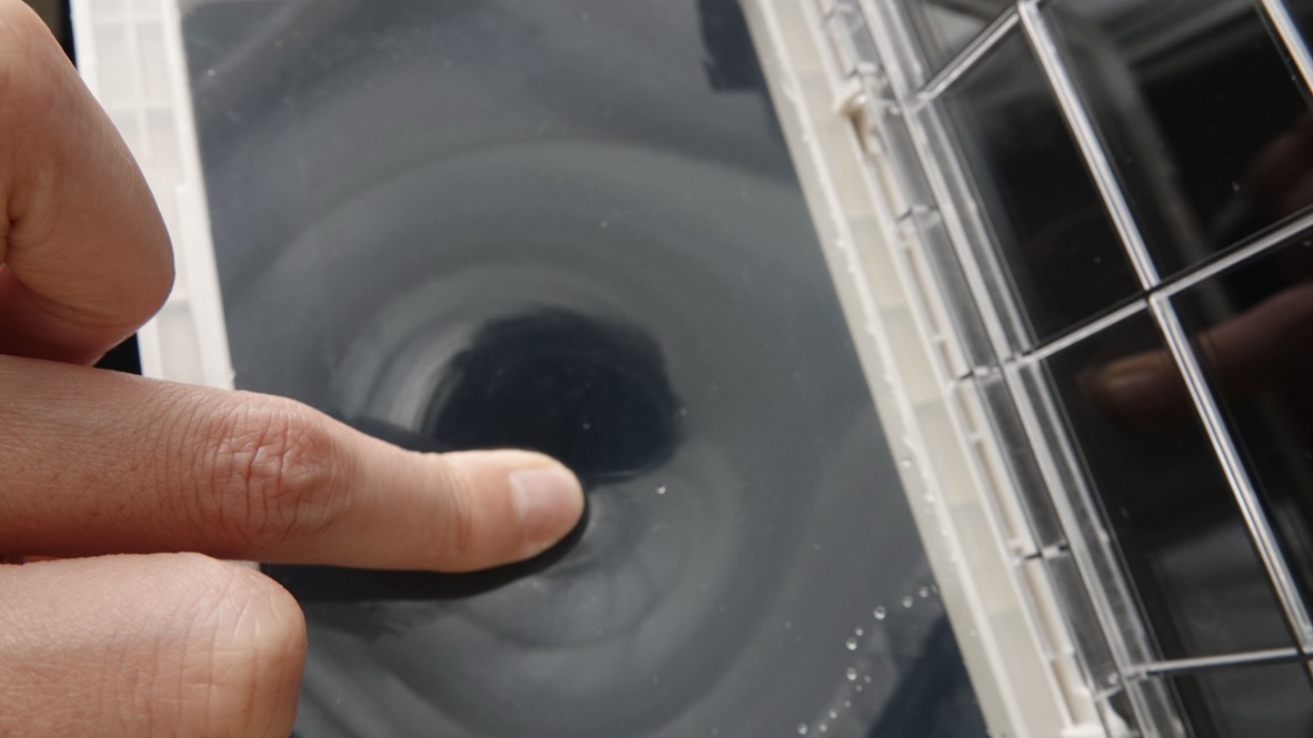 0262D58B-2455-4D1C-80BA-99C68C396E75_1_105_c