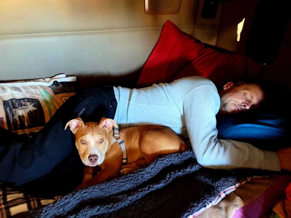 ロバートさんとアロー