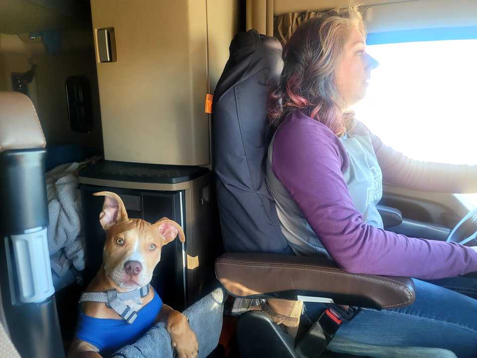 カーラさんとアロー