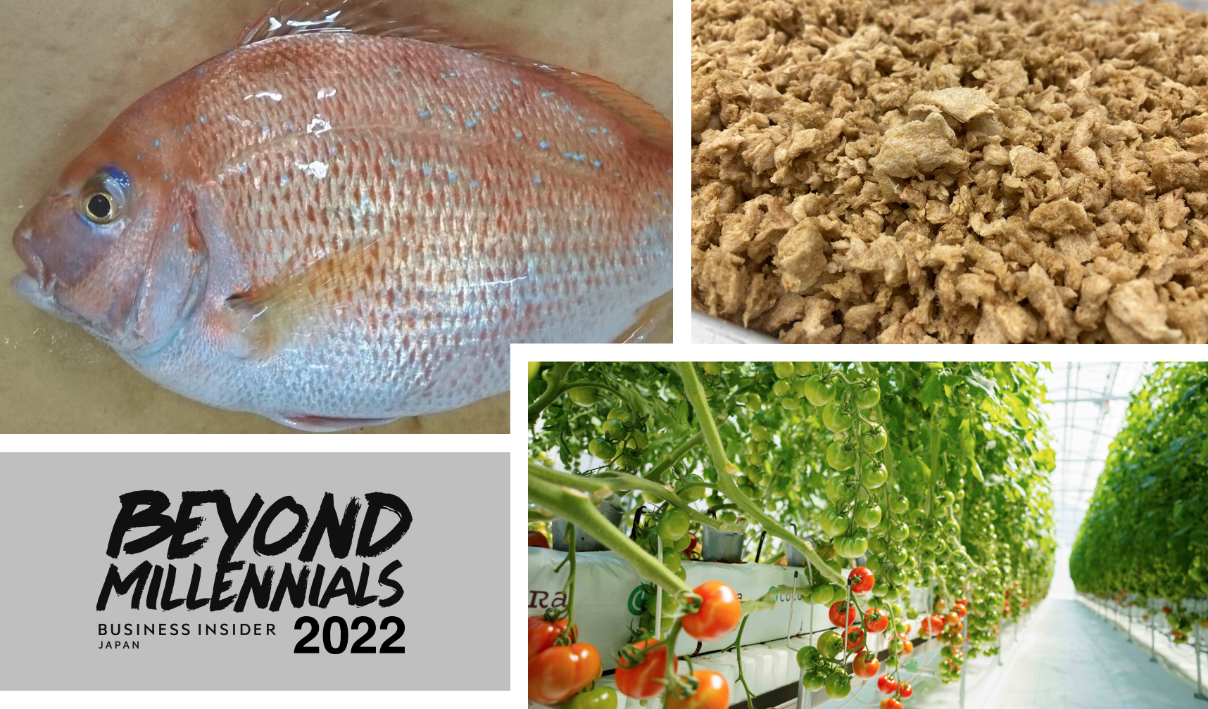 ゲノム編集食品?農林水産分野への応用と持続的社会の実現 初版美品ゲノム編集食品 田部井豊