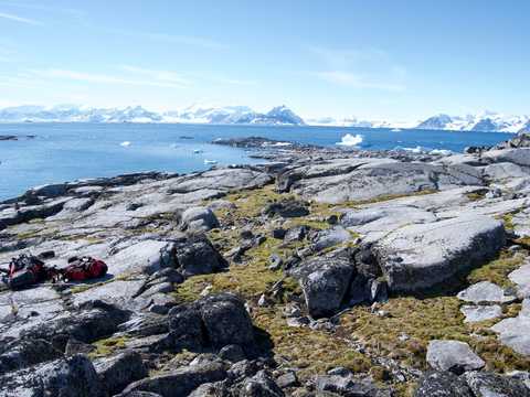 植物の生育状況を観測するために訪れた科学者が撮影した南極の様子。