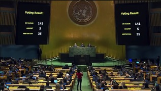 国連総会のロシア非難決議、反対は5カ国のみ。賛成141カ国で採決 議場から拍手、その時ロシア大使は...