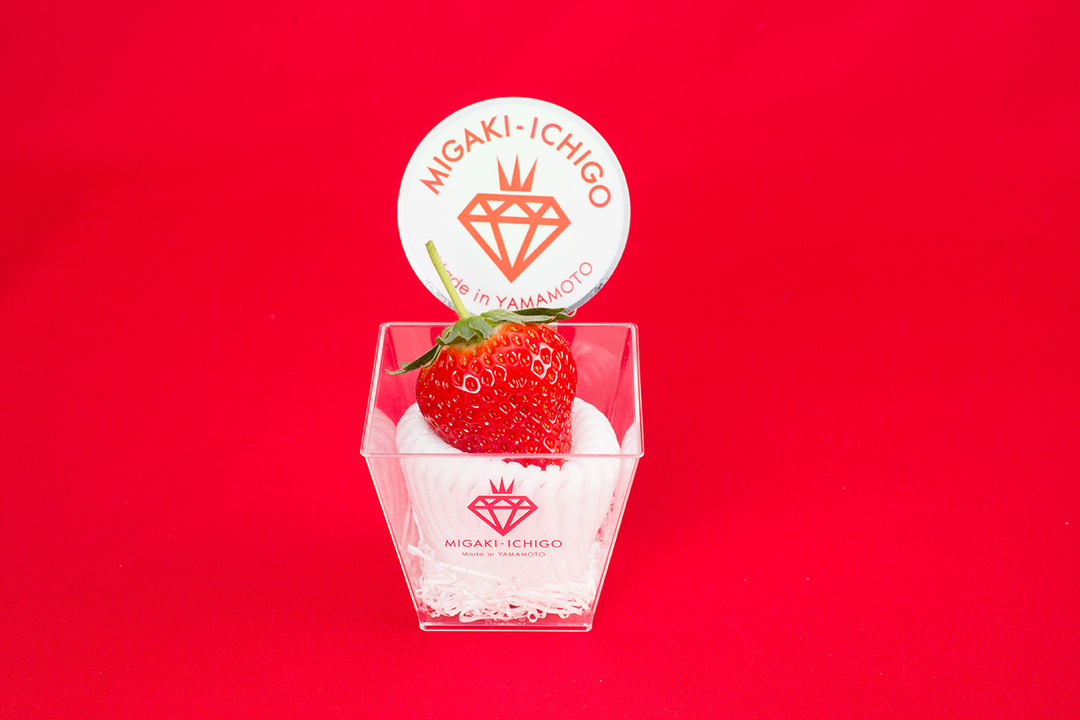 1粒1000円の「ミガキイチゴ」は東日本大震災の被災地で生まれた。