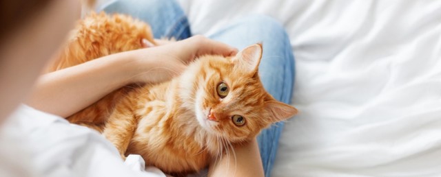 GettyImages-1305442064(one)