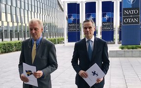 フィンランドとスウェーデン、NATO加盟を同時に申請「歴史的な日だ」