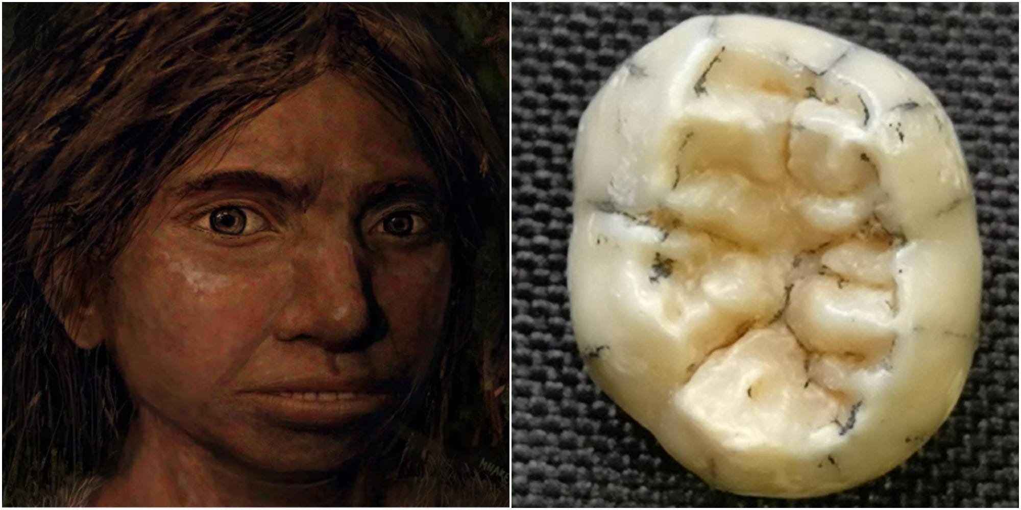 ラオスの洞窟で発見された歯は13万年前の古代人のものだった…謎の人類