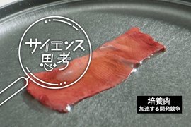 「肉そのものを作る」培養肉の開発競争が加熱。大豆ミートだけじゃない、代替肉の最前線