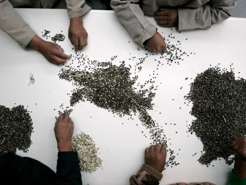 サンプルの整理