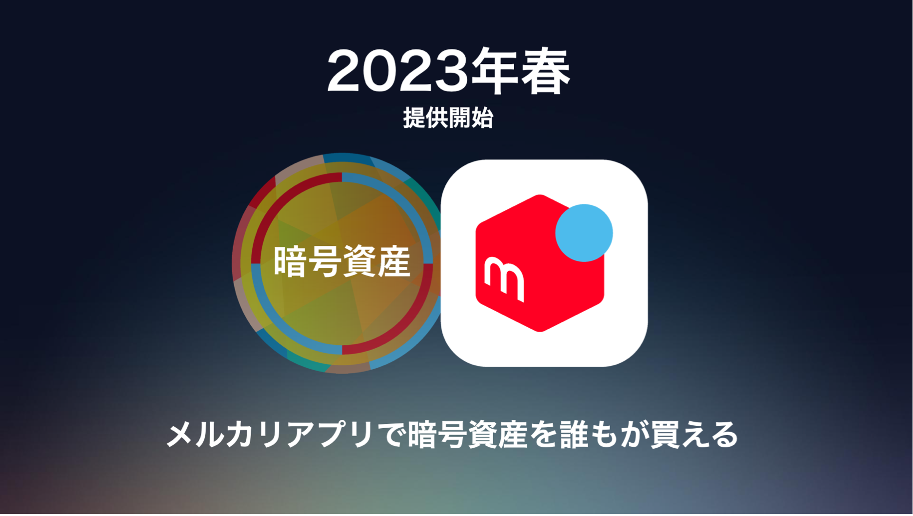 メルカリのクレカ「メルカード」は“攻め”か“守り”か…ビットコインから還元率までメルペイトップに聞く | Business Insider Japan
