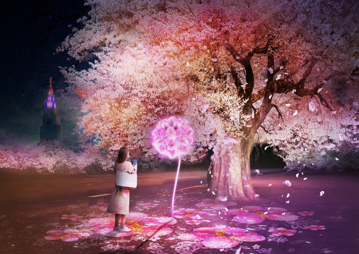 【夜桜】出品 夜桜メダカ<改良メダカ解説> | AQUALASSIC