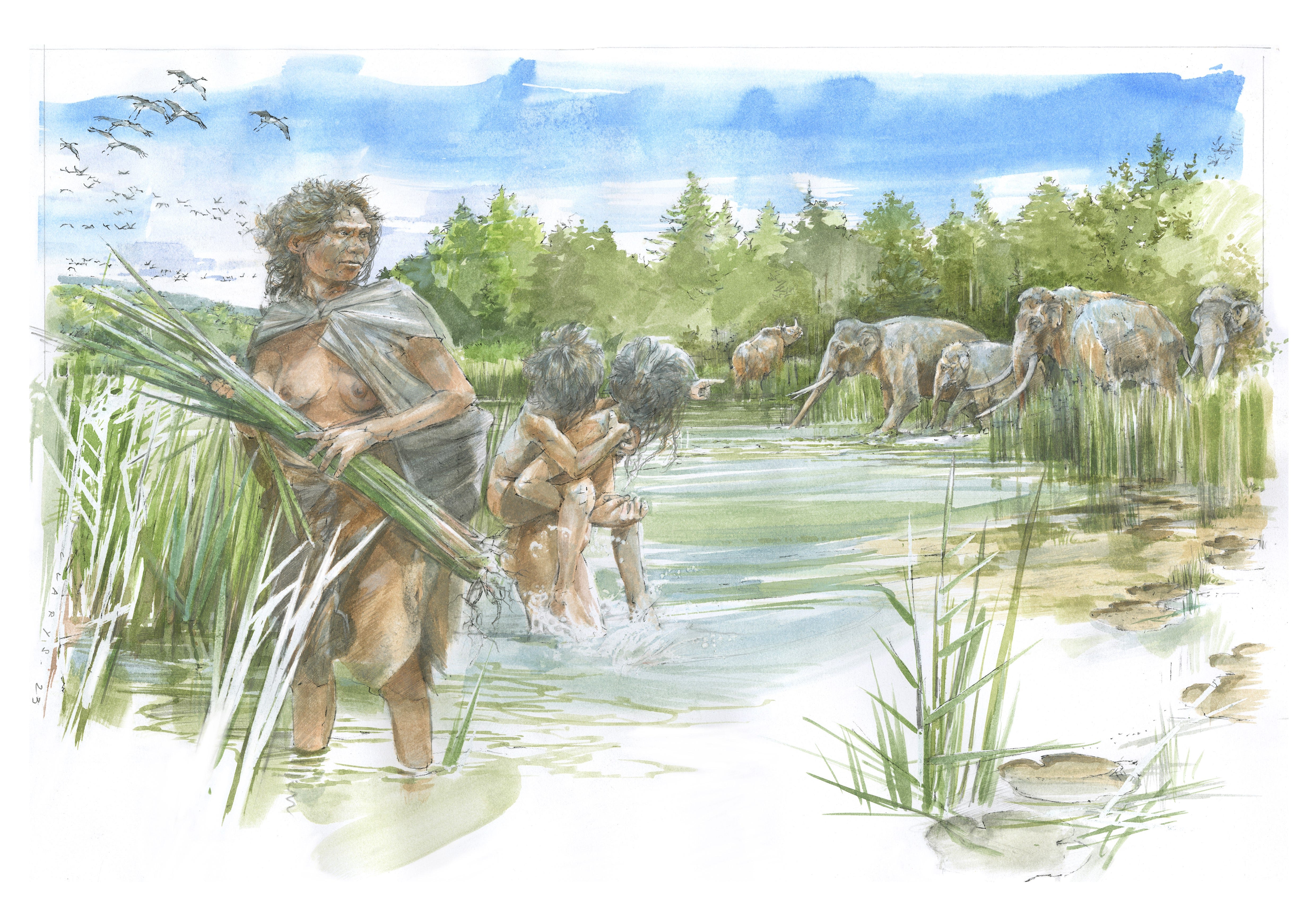 欧州最古、30万年前の人類の足跡化石を発見…サイやゾウの足跡化石も