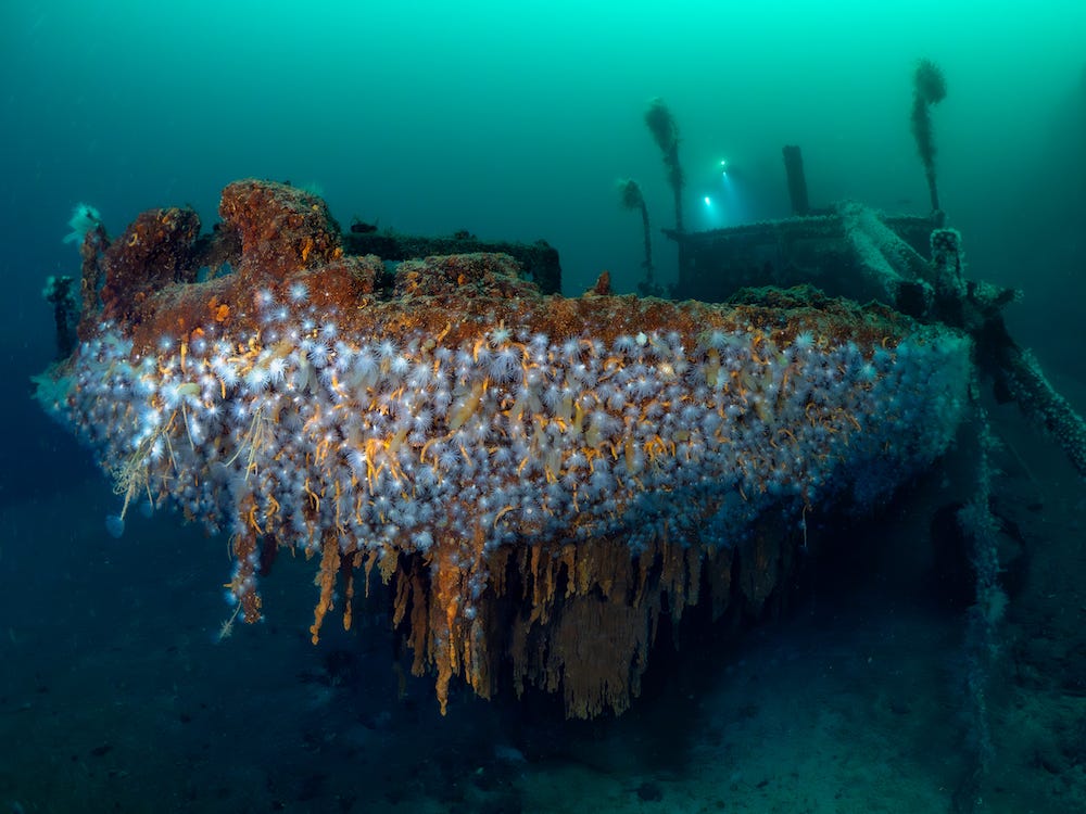 海底の難破船(田中 資幸 作) 海底の沈没船。古い沈没船。AI生成の写真素材・画像素材 Image
