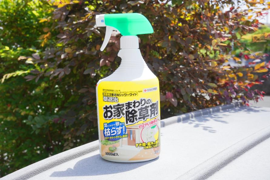 庭の芝生をすべてコンクリにしようと思うほど悩んだ「雑草」。コレを