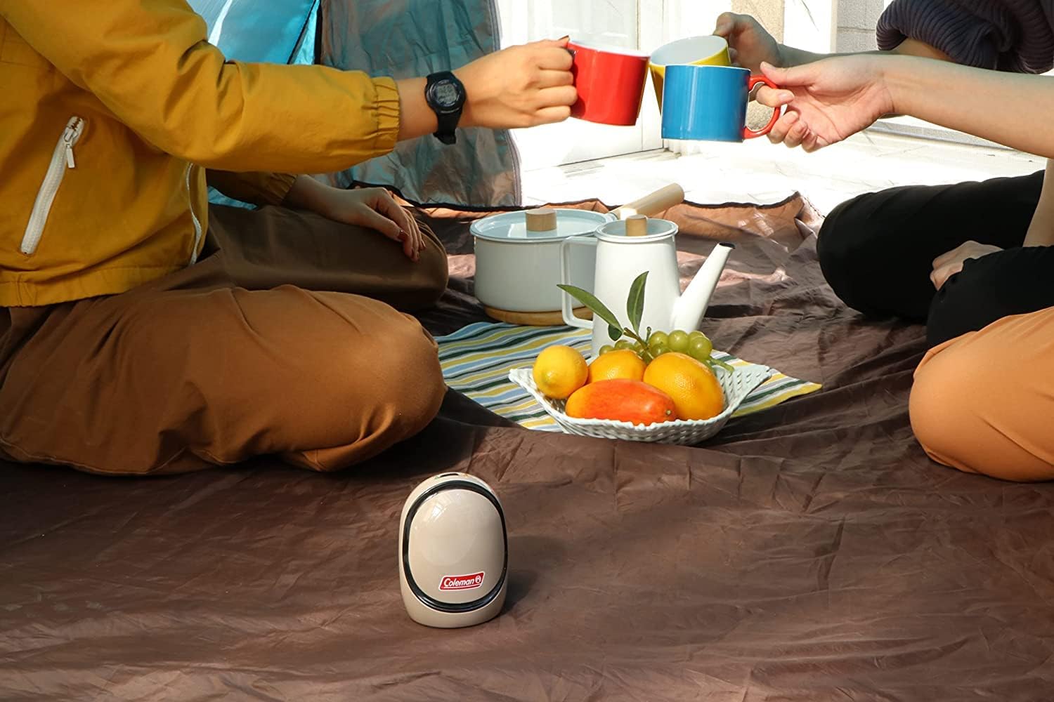 電池式で無臭タイプ。屋内・外で大活躍するアースノーマット