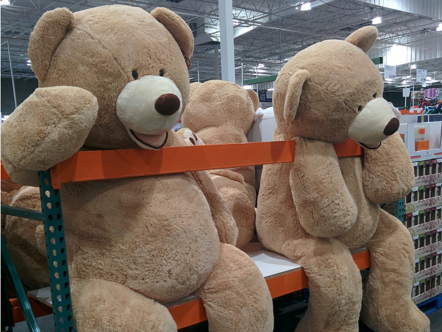 一度買ってみる？ コストコで売られている、とんでもないサイズの商品
