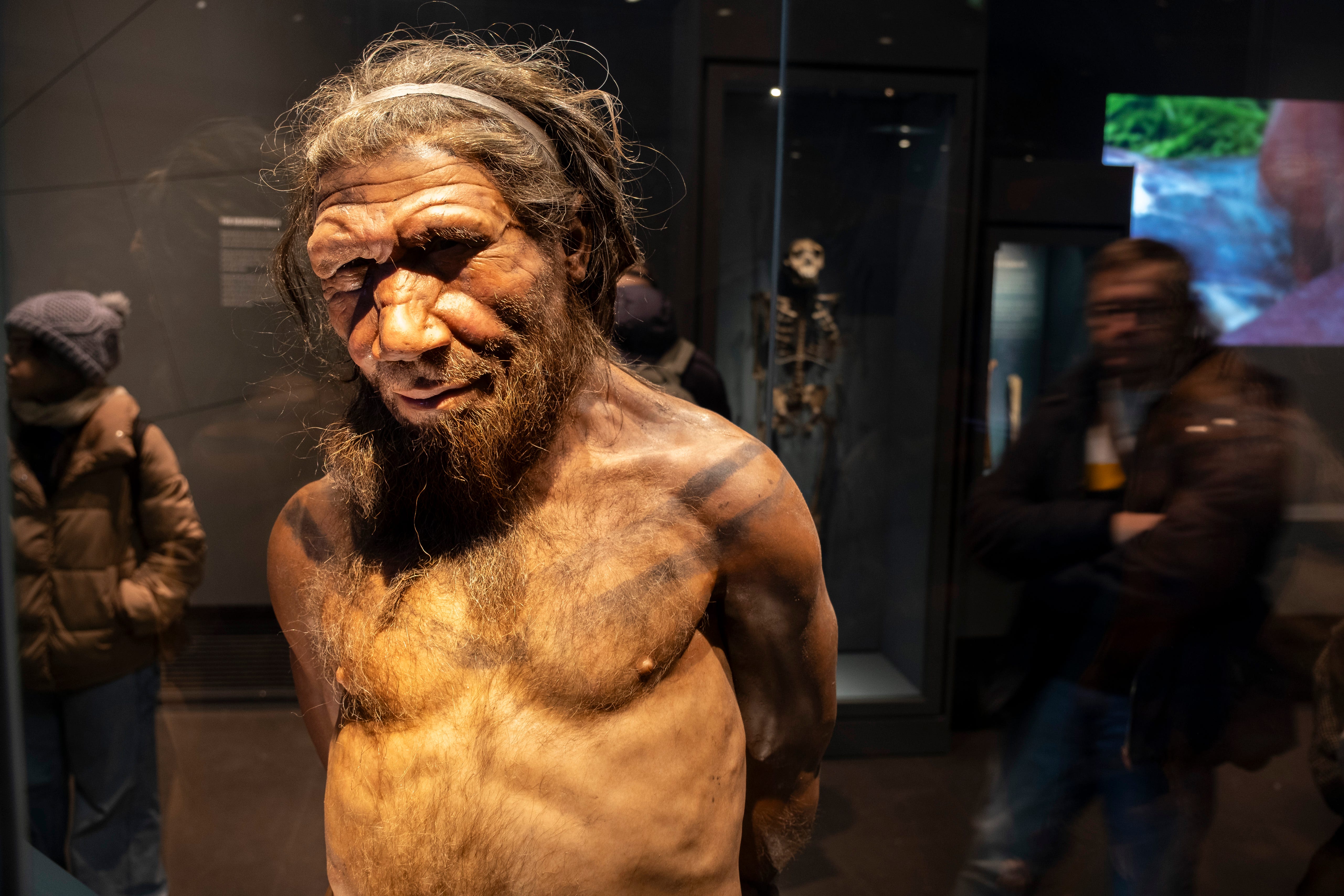 ネアンデルタール人絶滅の理由は「孤立」「小規模な集団」かもしれない 
