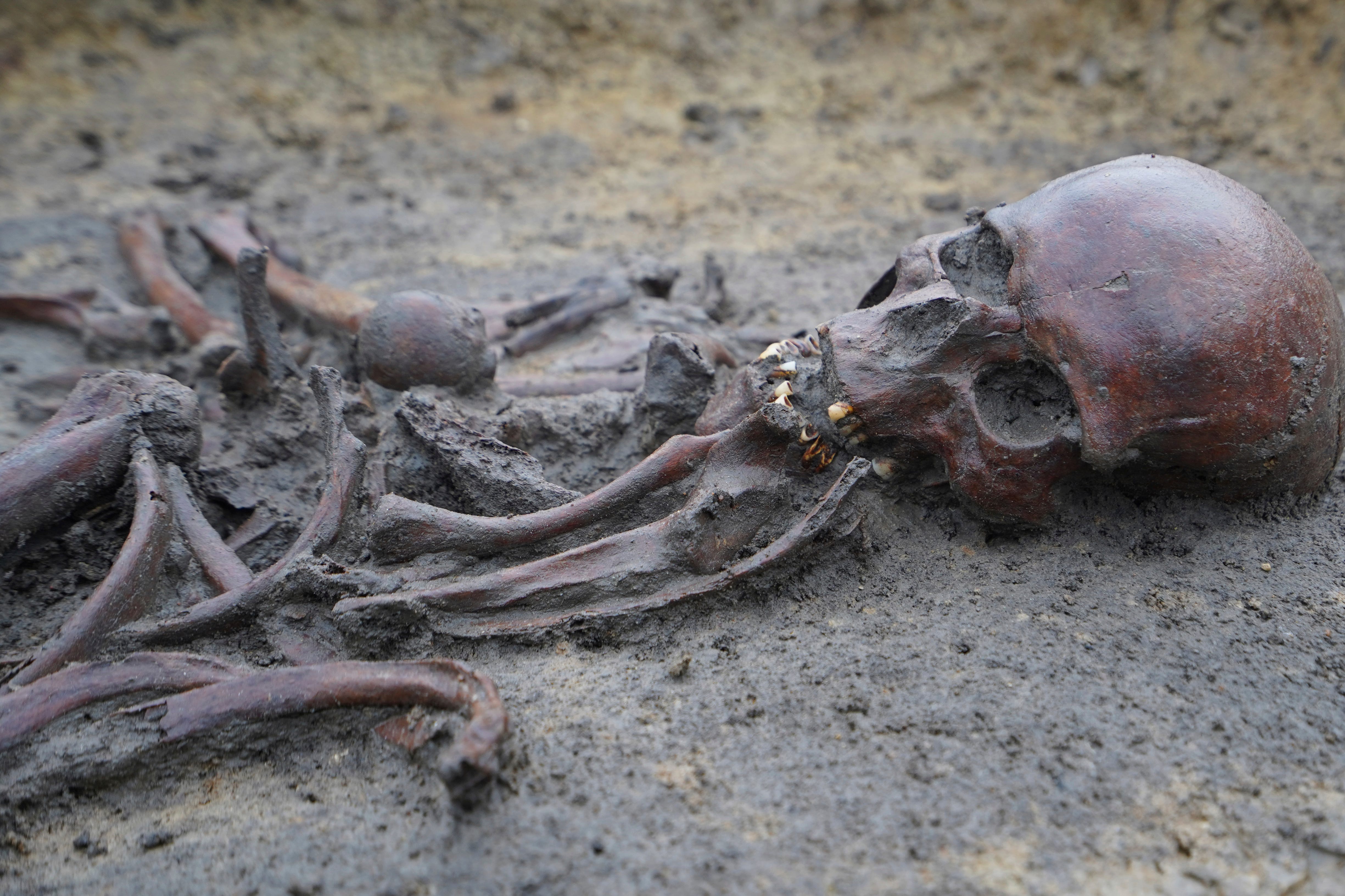 ノルウェーの遺跡で、1000年以上前の埋葬地を発見…遺骨50体と交易品が