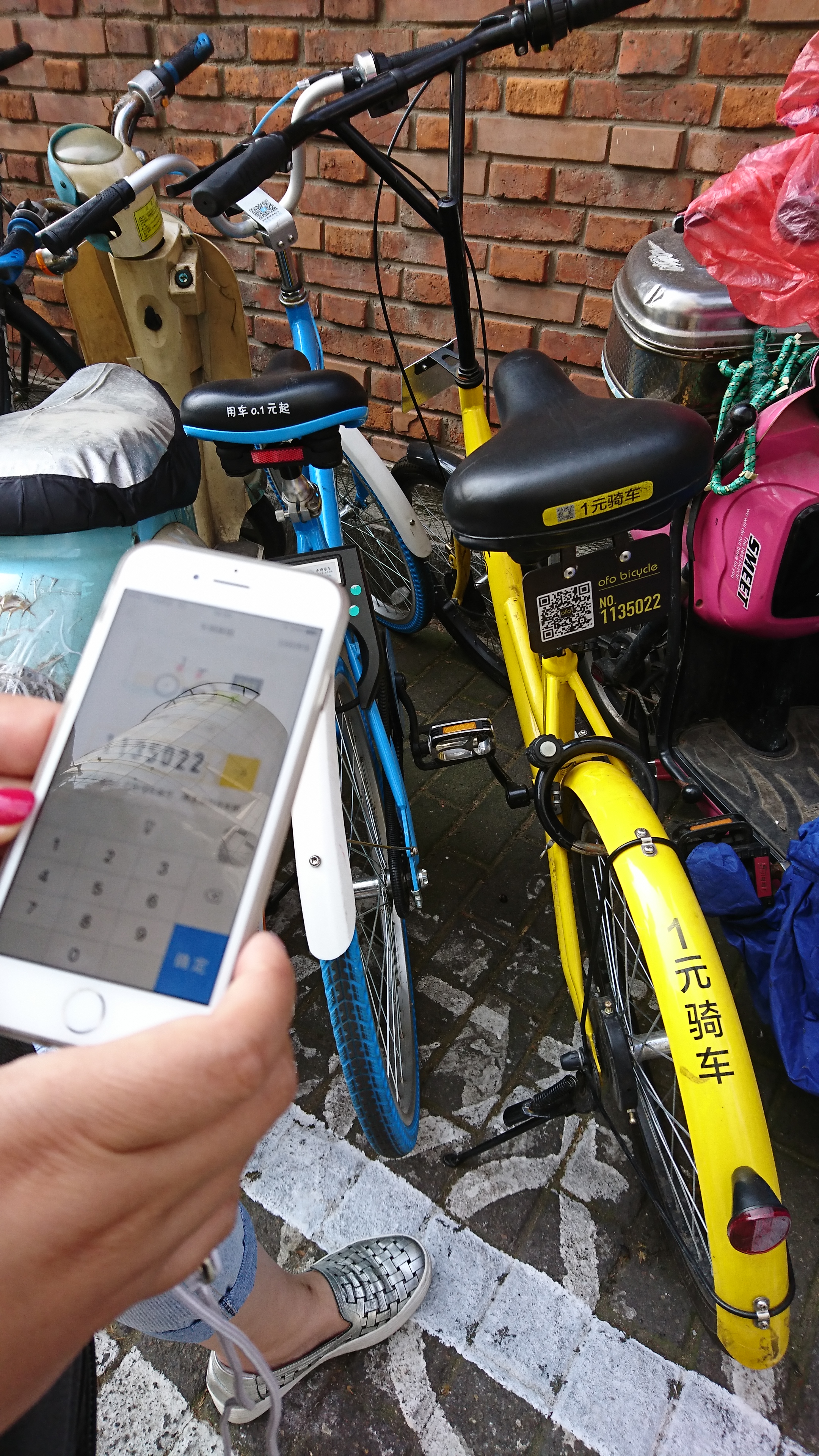 シェア自転車2.JPG