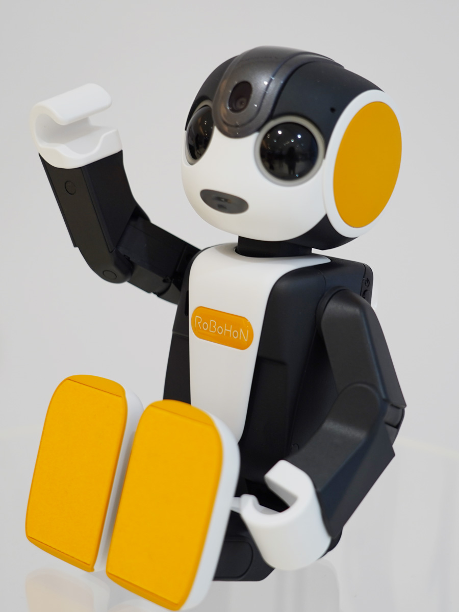 家の地図こそが最大の武器だ」ロボット掃除機メーカー・アイロボット