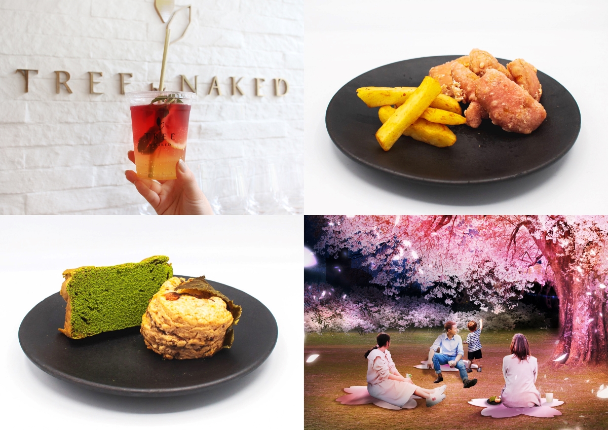 新宿御苑の70種類の夜桜にNAKEDがプロジェクションマッピング 