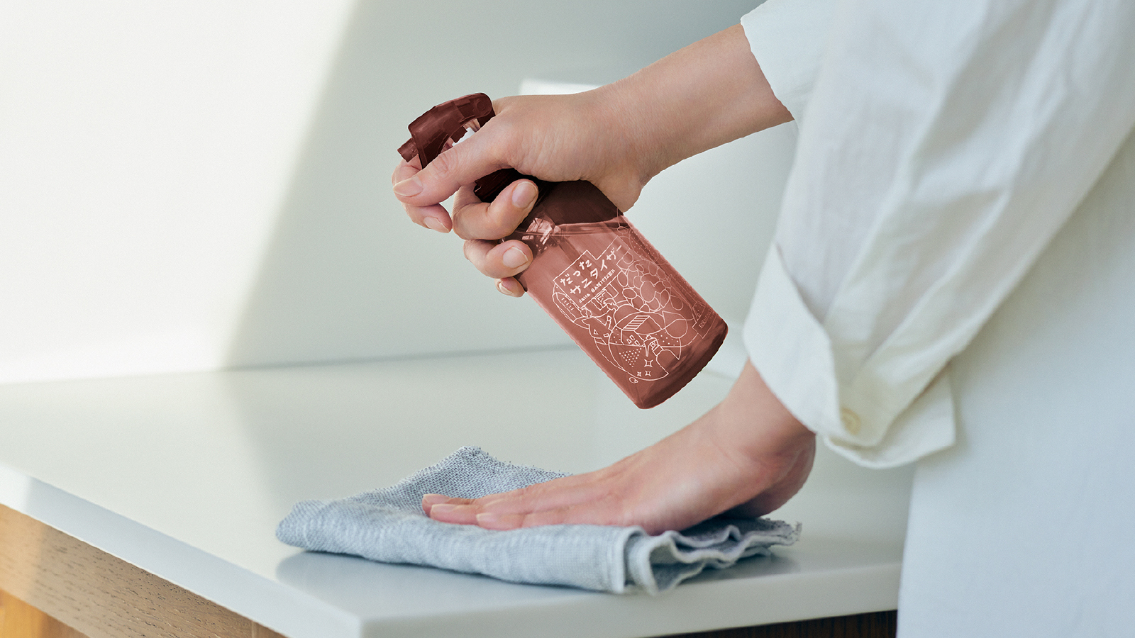 【サービス品@1280〜】毒リンゴ(葉挿しっ子) サービス品@1280〜】毒リンゴ(葉挿しっ子) サービス品@1280〜】毒