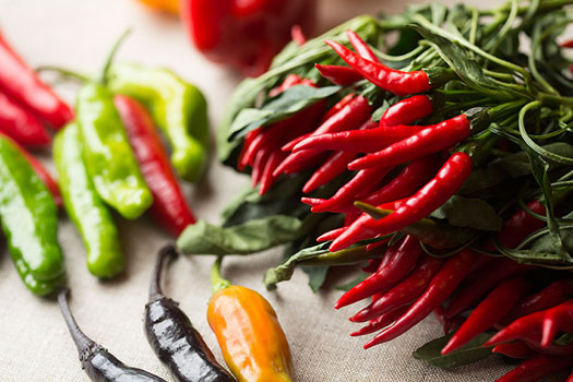 プロ流 旬の 生唐辛子 で作るペペロンチーノレシピ Mashing Up