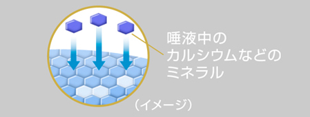 20160516_clear_illust4.jpg