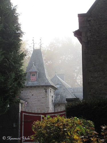 20161129_ardenne_1.jpg