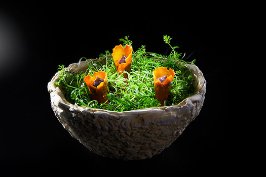 20170310_restaurant_3.jpg