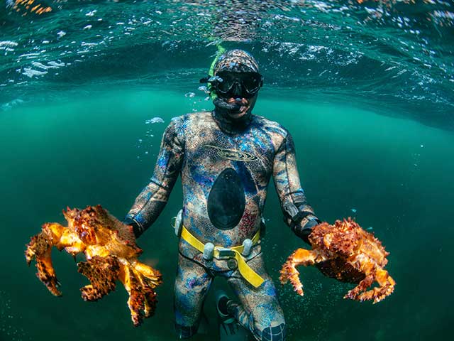 20170715_nyt_diving_main.jpg
