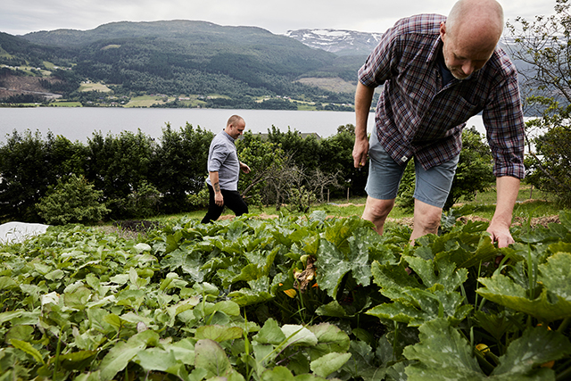 20170810_fjordic_10.jpg