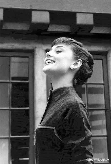 20171222_audrey_4.jpg